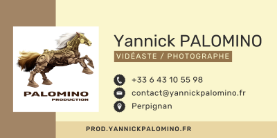 signature palomino production